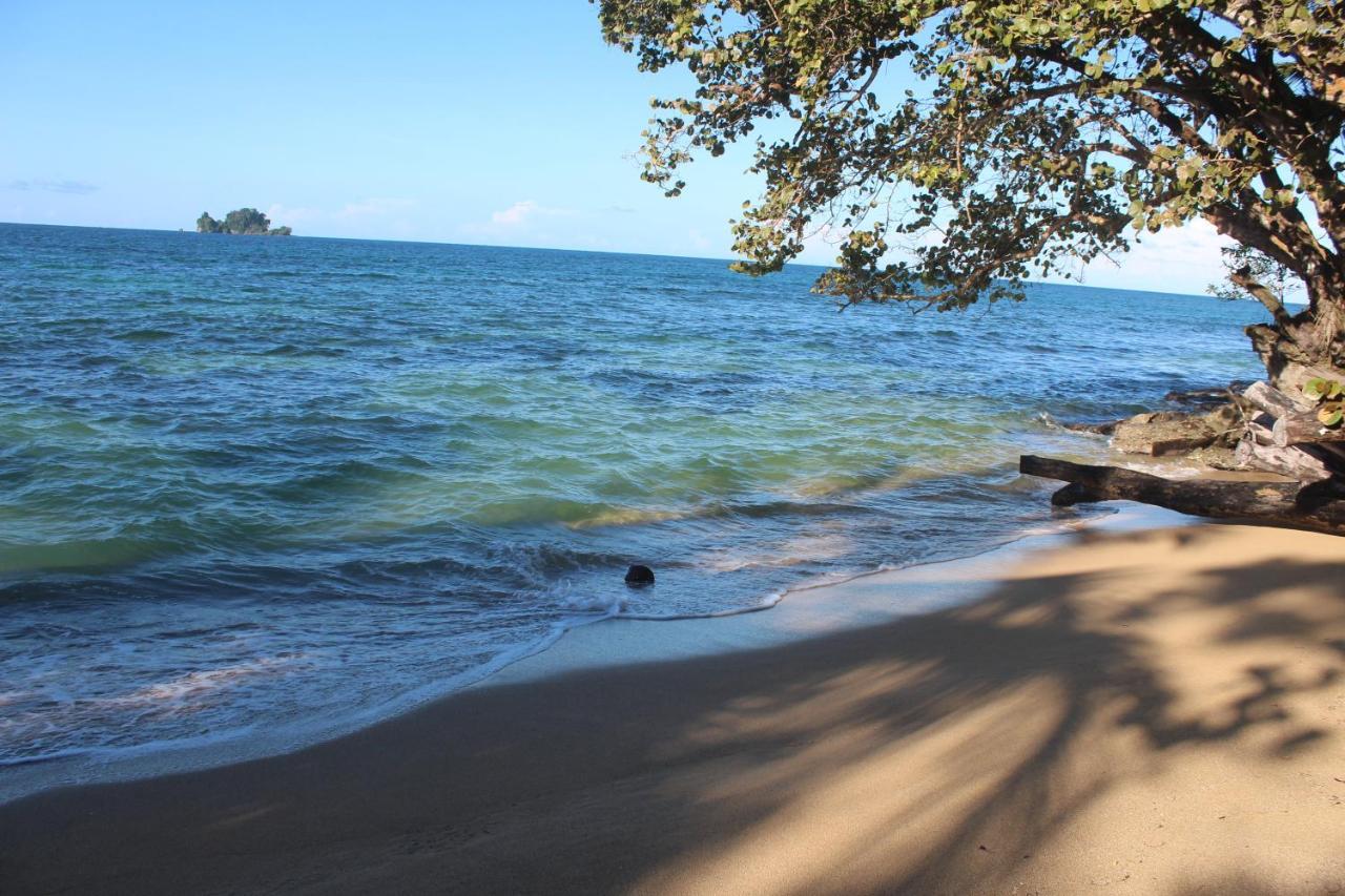 Bird Island Bungalows Bocas Town Exterior foto