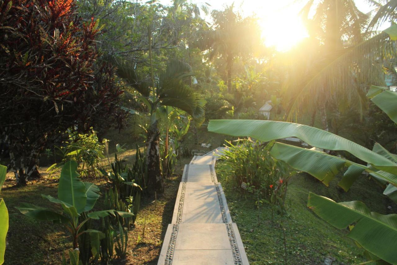 Bird Island Bungalows Bocas Town Exterior foto